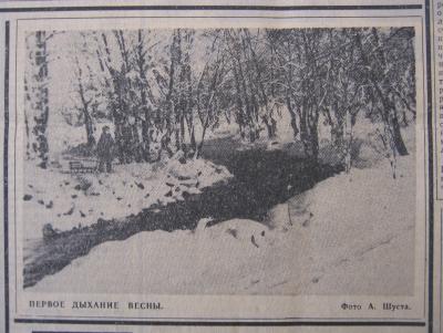 Прикрепленное изображение: IMG_3373.JPG